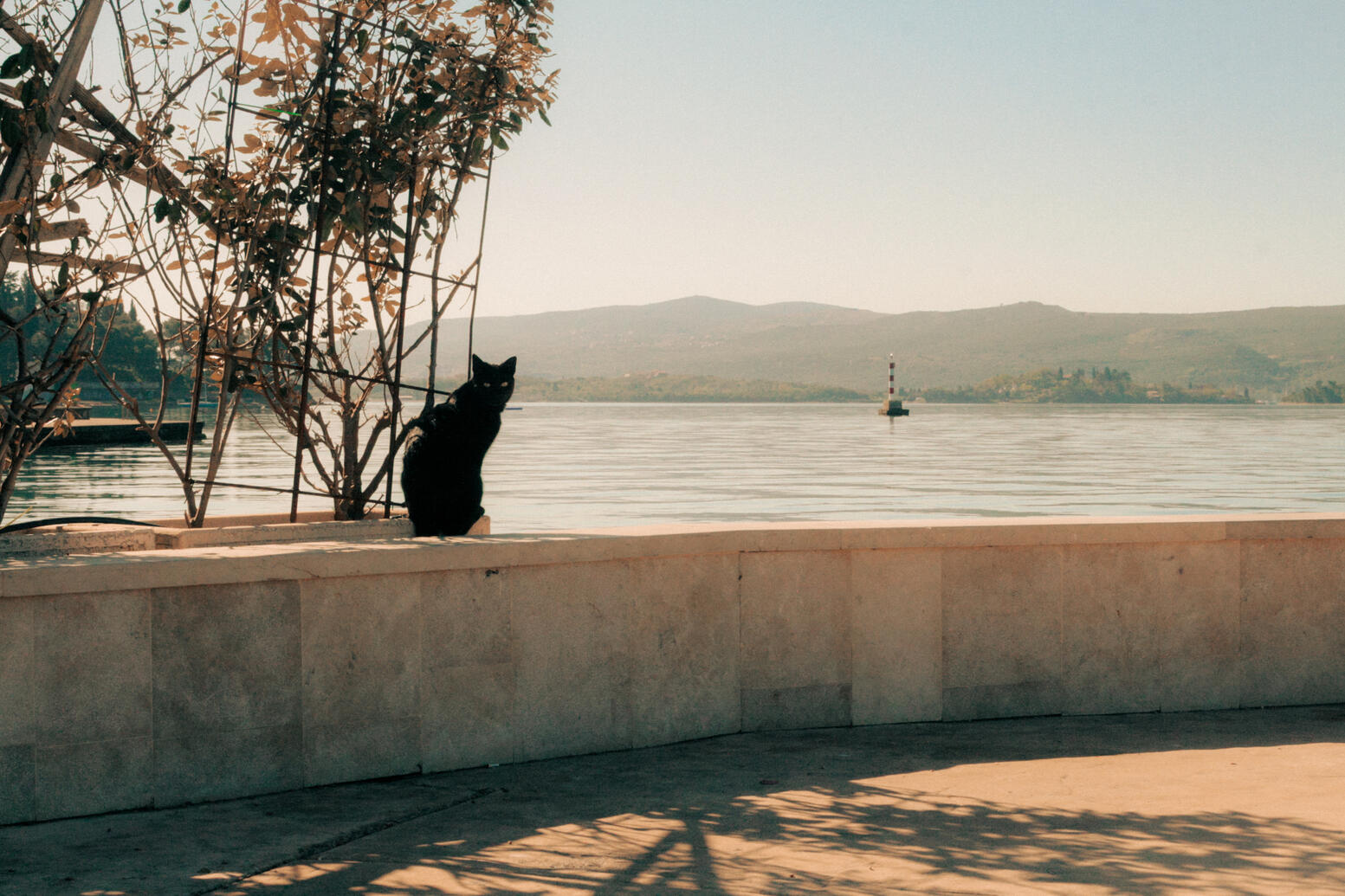 Tivat, Montenegro Tivat, Montenegro